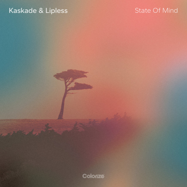 State Of Mind cover