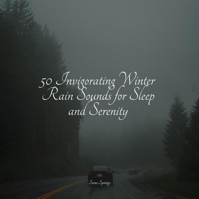 50 Invigorating Winter Rain Sounds for Sleep and Serenity - Album by ...
