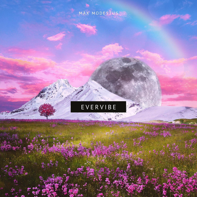 Evervibe cover art