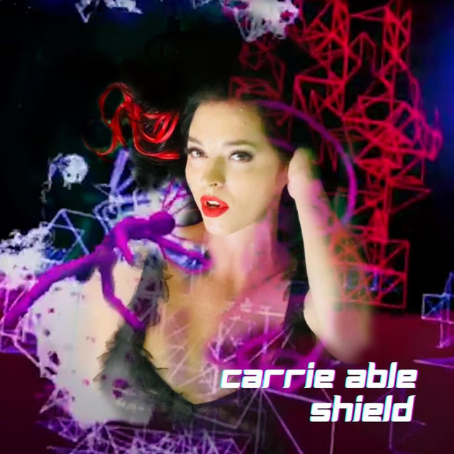 Shield cover art