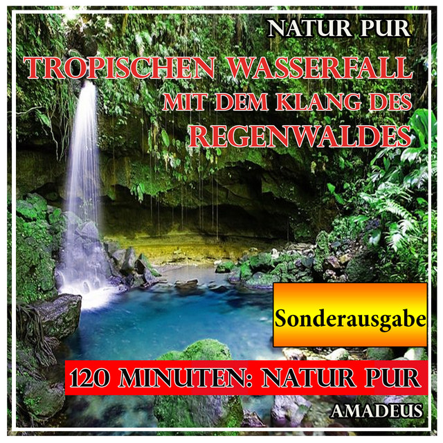 Tropischen Wasserfall mit dem Klang des Regenwaldes: Natur pur: Sonderausgabe cover art