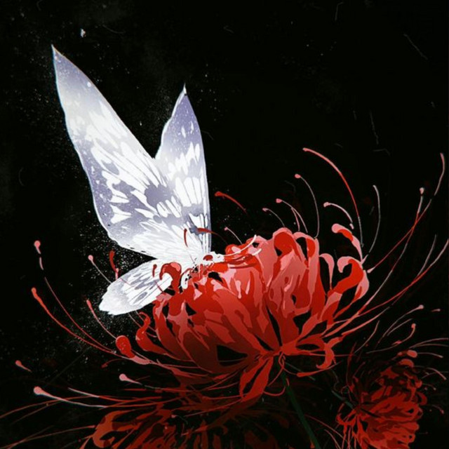 blossom cover art