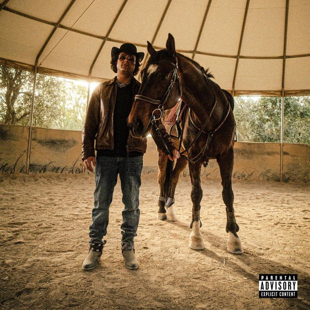 Wild Wild West