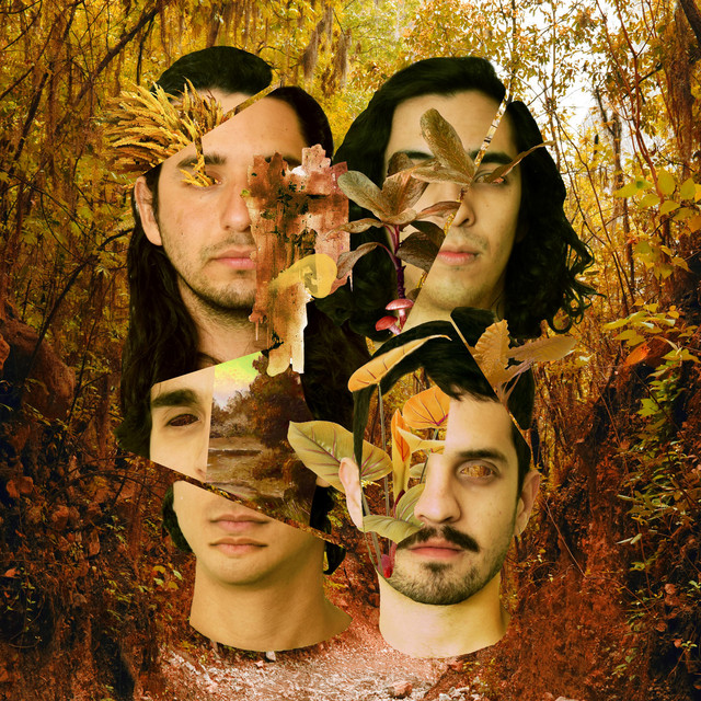 Bosque cover art