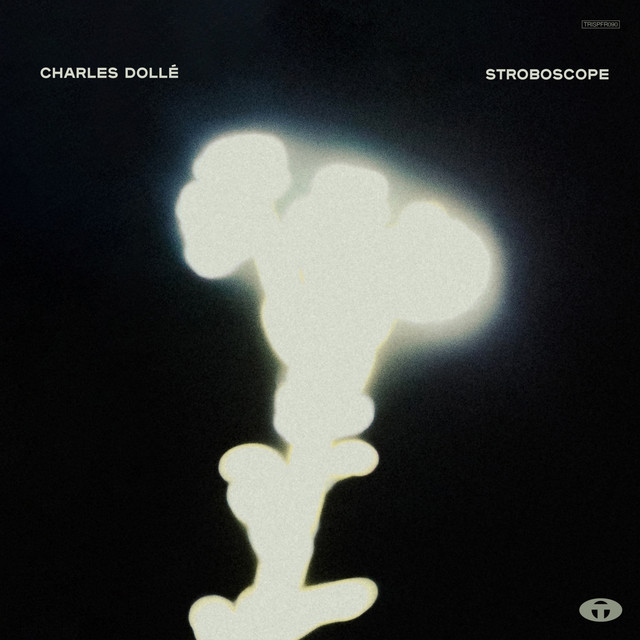 Stroboscope cover art