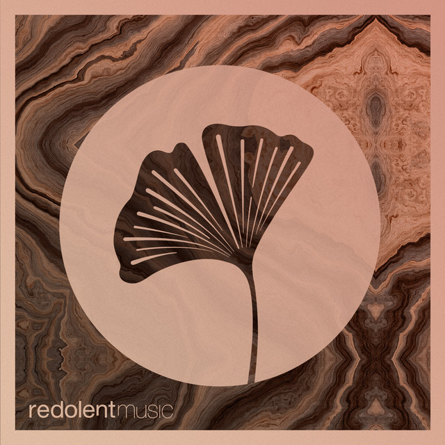 Guaguanco - Edgar Aguirre Remix