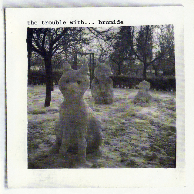 The Trouble With... cover art