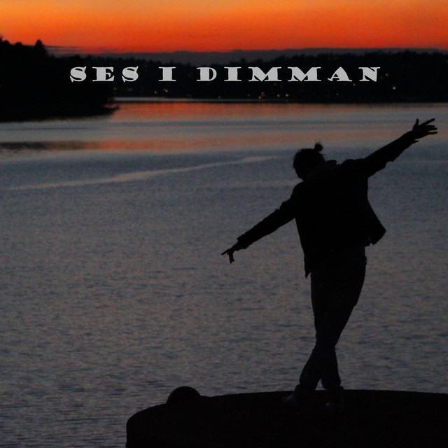 Ses i dimman cover