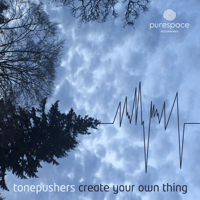 Create Your Own Thing cover