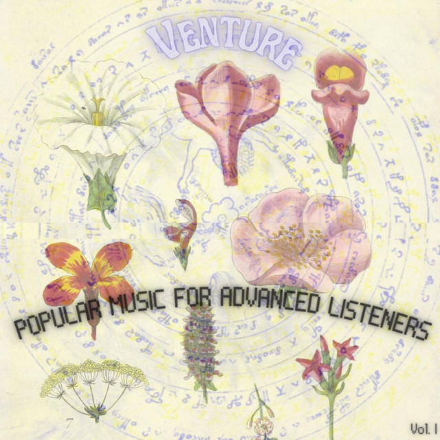 Popular Music For Advanced Listeners cover art