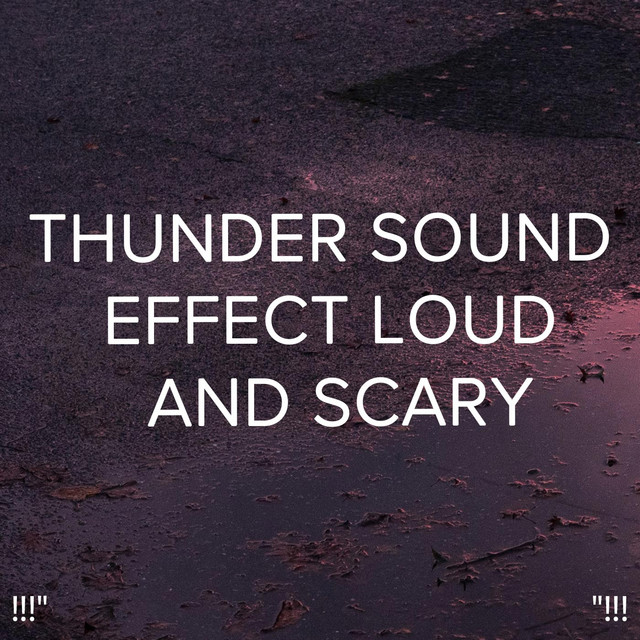 Loud Thunderstorm - song and lyrics by Thunderstorm Sound Bank ...