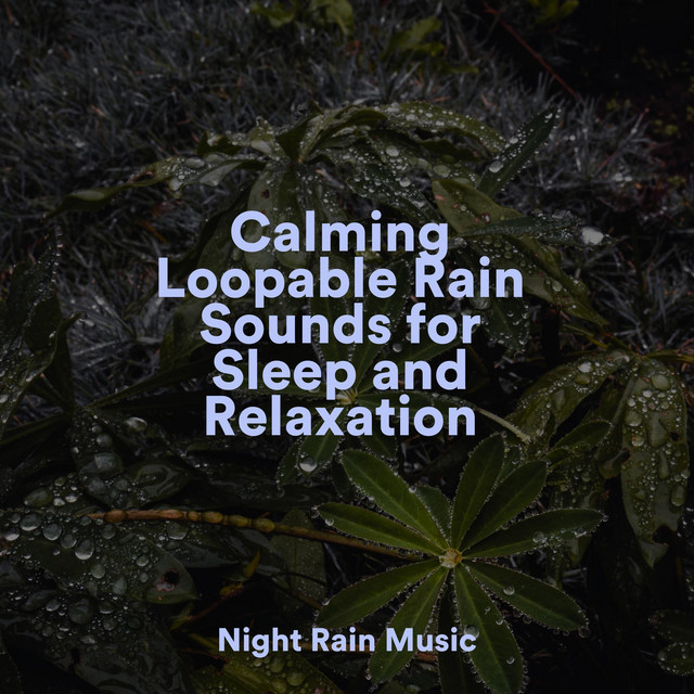 Calming Loopable Rain Sounds for Sleep and Relaxation - Album by Regen ...