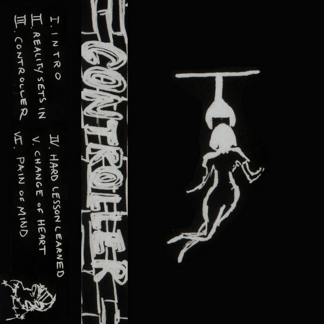 Controller cover art
