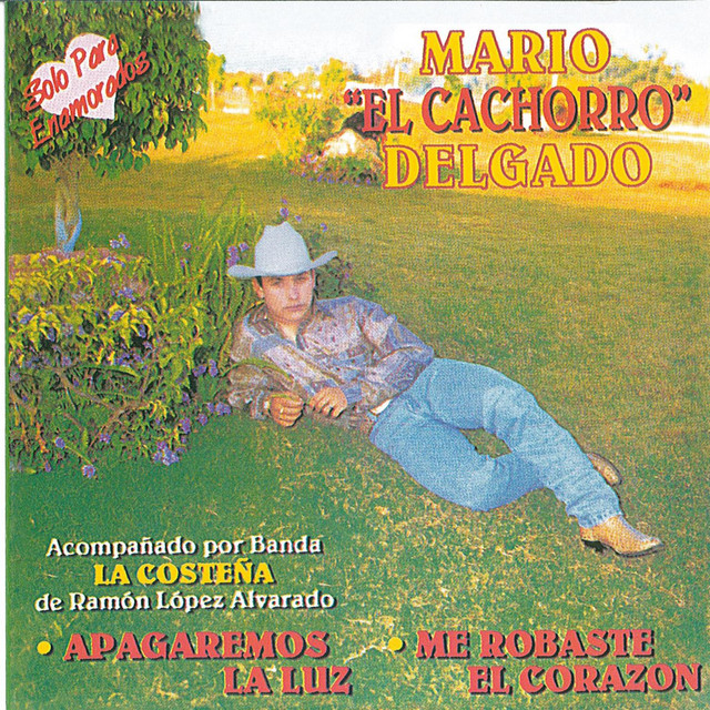 Solo para Enamorados cover art