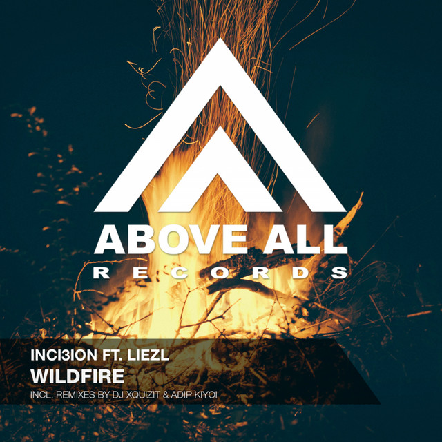 Wildfire - Adip Kiyoi Remix cover art