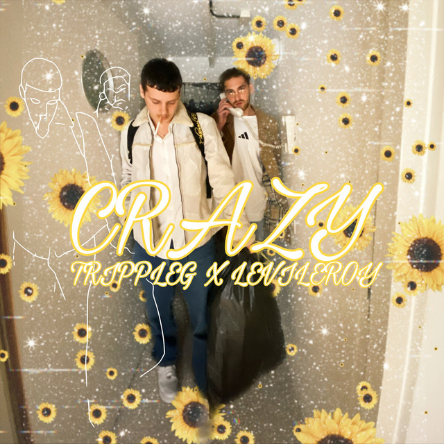 Crazy cover art