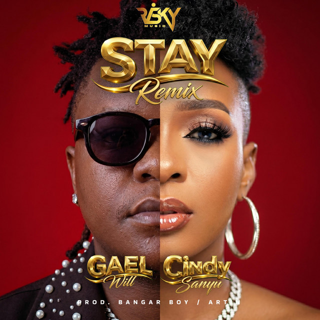 Stay - Remix