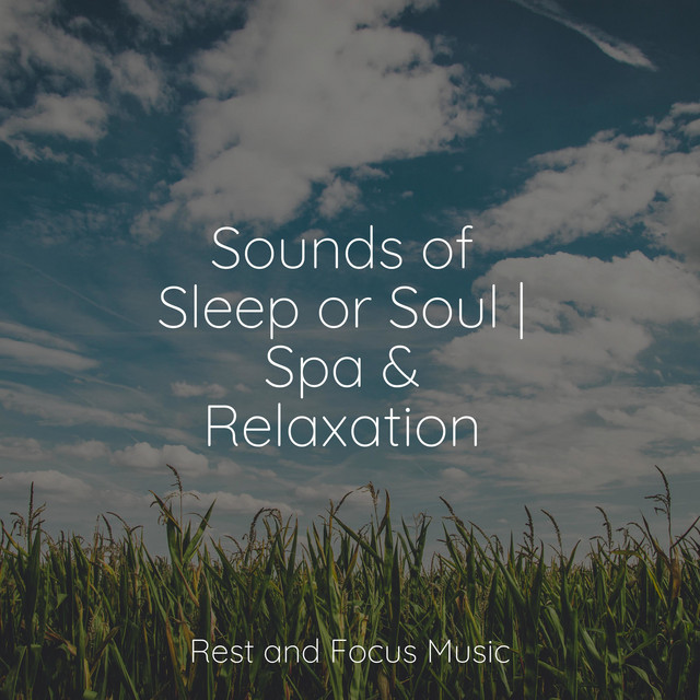 Sounds of Sleep or Soul | Spa & Relaxation - Album by Nature Sounds ...