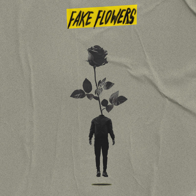 Fake Flowers - Acoustic