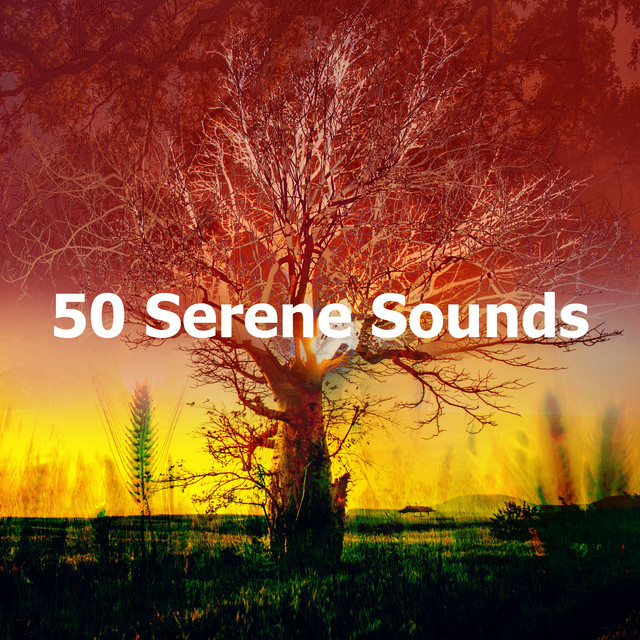 50 Serene Sounds - Album by Tranquil Music Sound of Nature | Spotify
