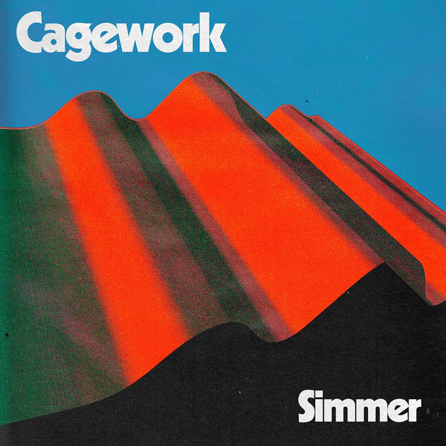Simmer cover