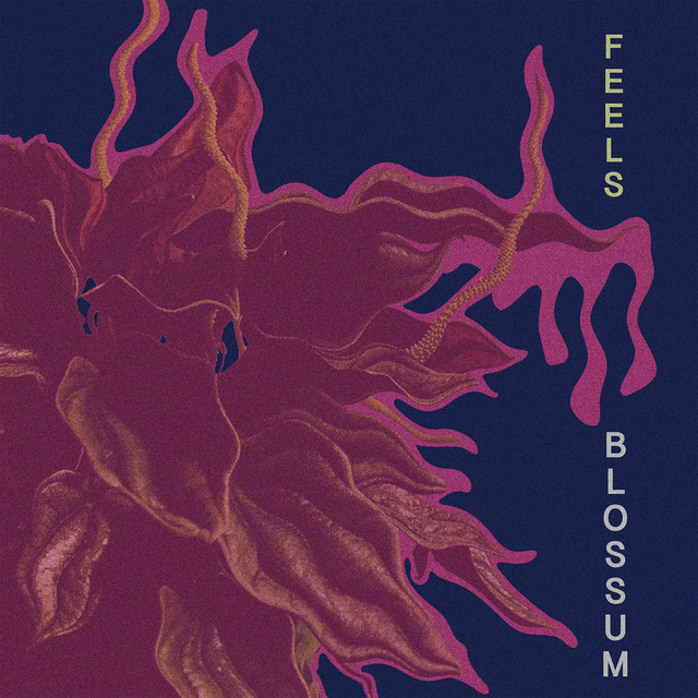 Feels cover art