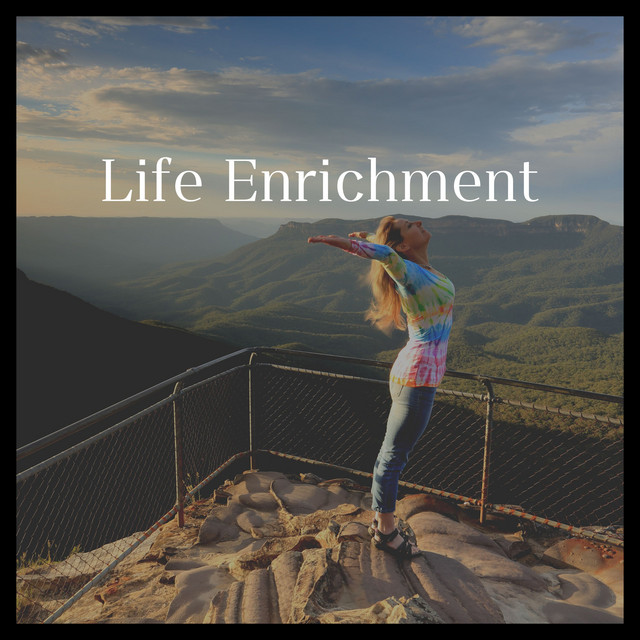 Life Enrichment cover art