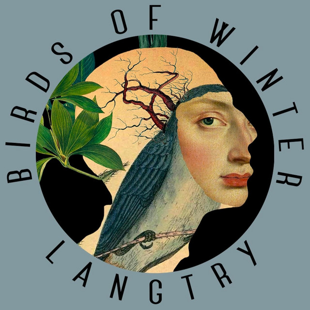 Birds of Winter (The Singles) cover