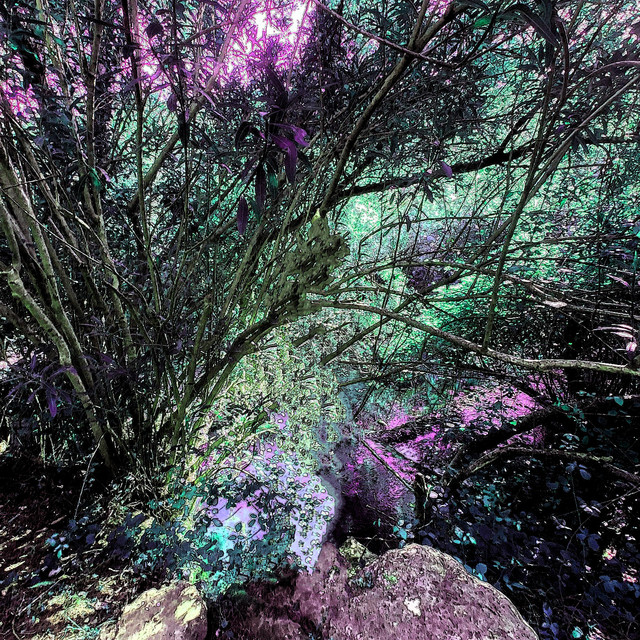 BASIC cover art