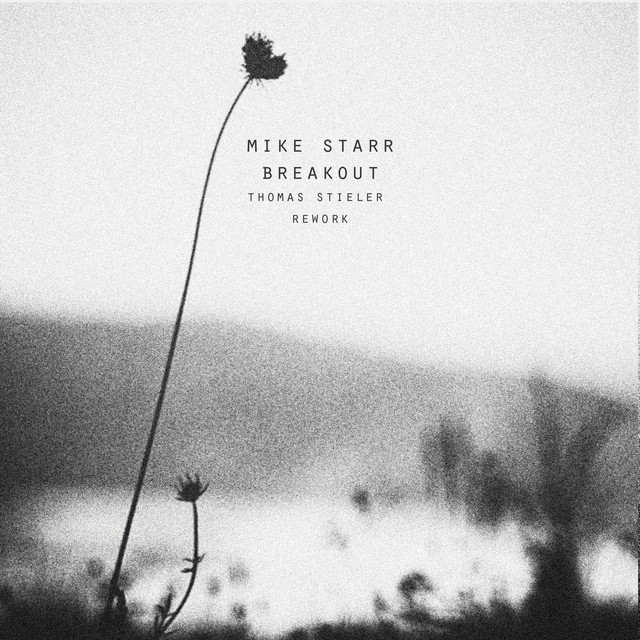 First Light cover art