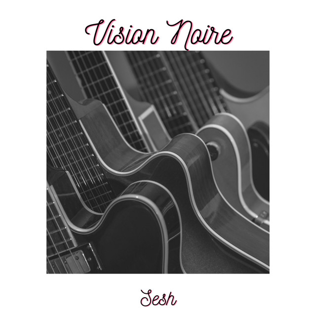 Vision Noire cover art