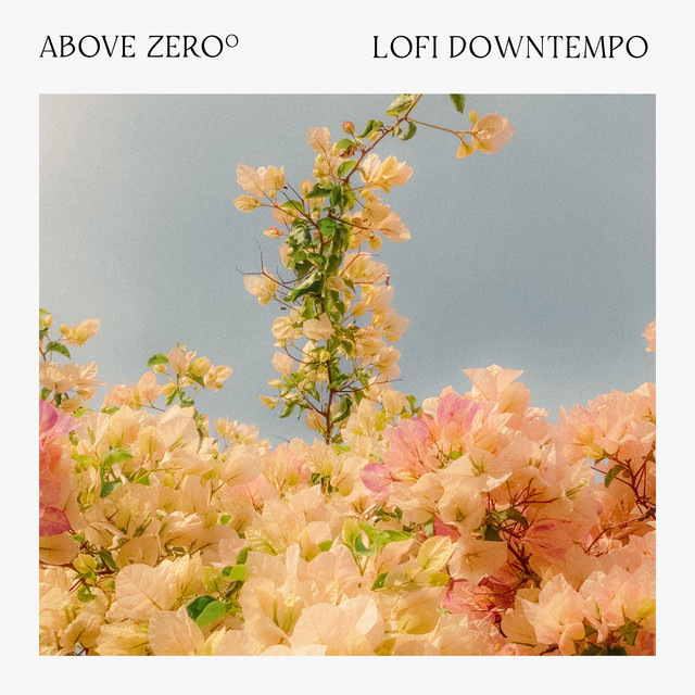 Lofi Downtempo cover art