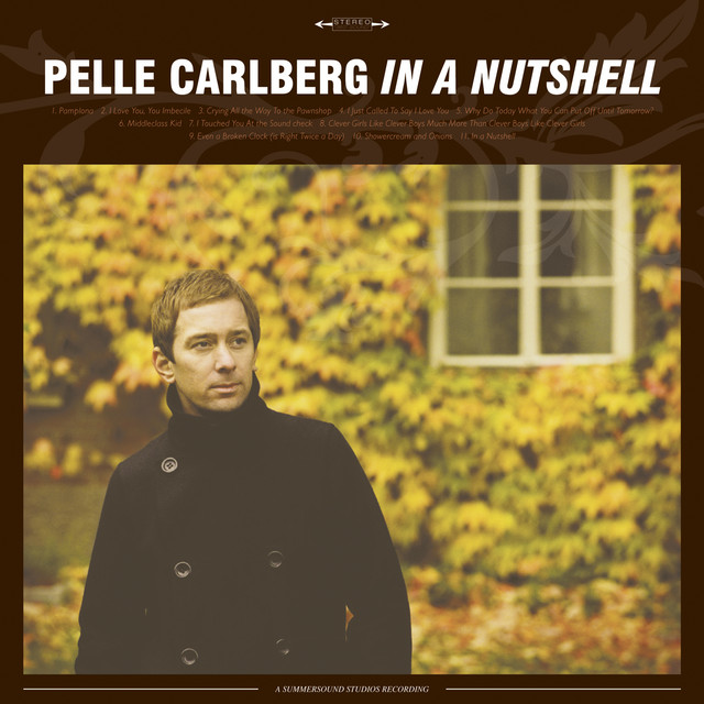 In a Nutshell cover