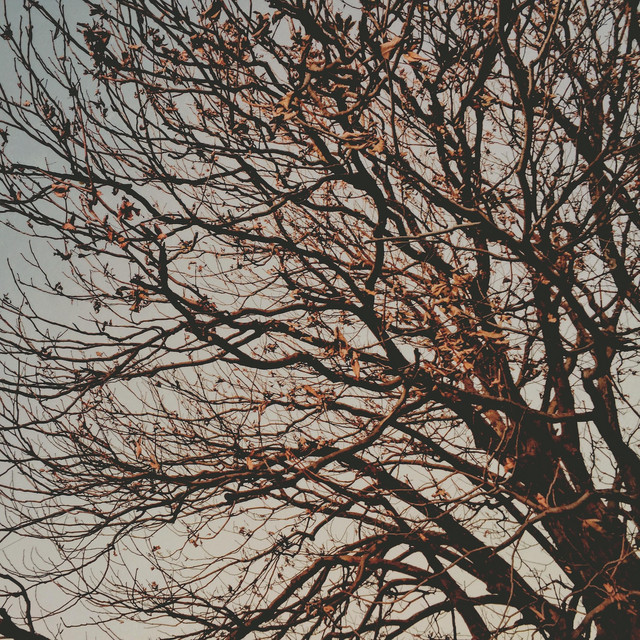 Vulnerable in Bihag / Mose Bole Na cover art