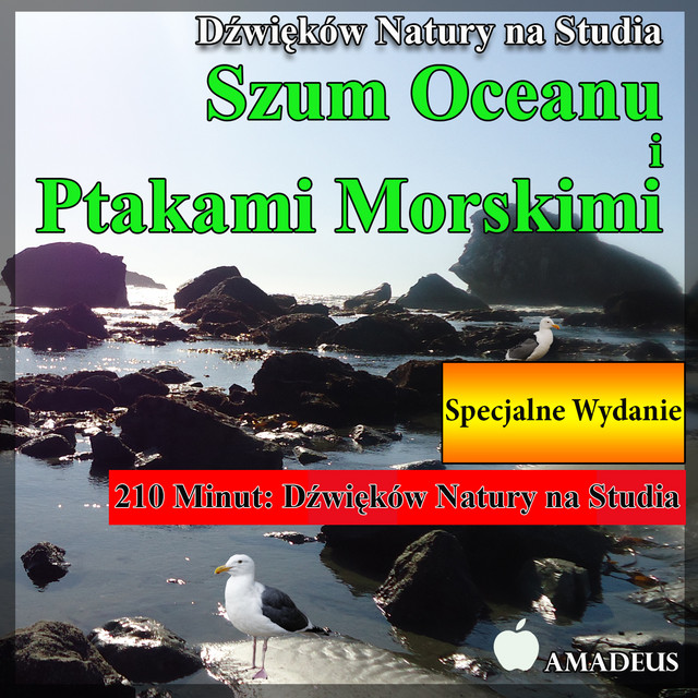 Dźwięków Natury na Studia: Szum Oceanu i Ptakami Morskimi: Specjalne Wydanie cover art