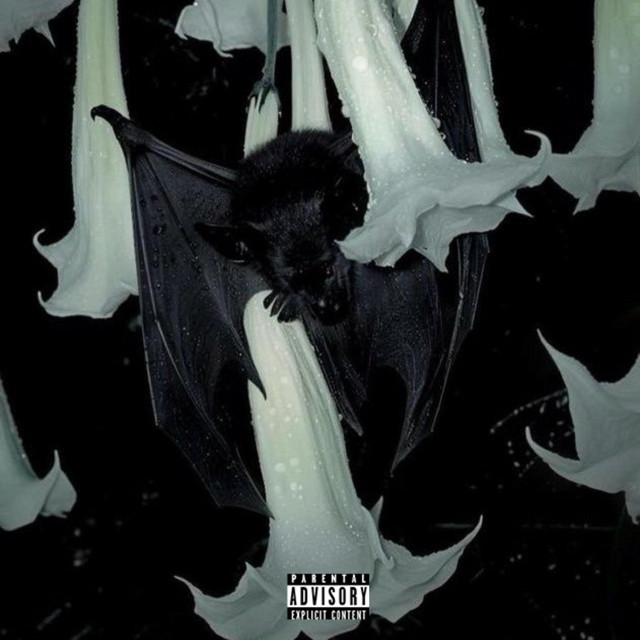 Bruce Wayne