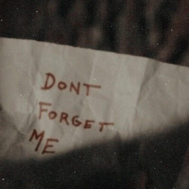 Don't Forget Me cover art