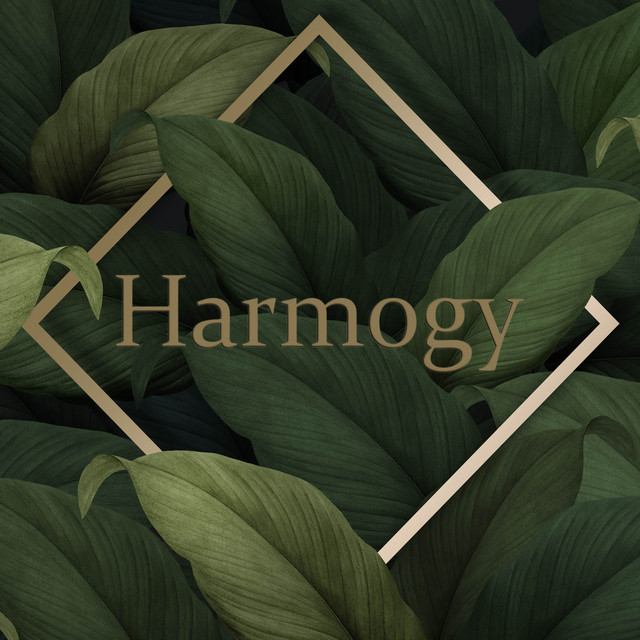 Ecstasy - song and lyrics by Harmogy | Spotify