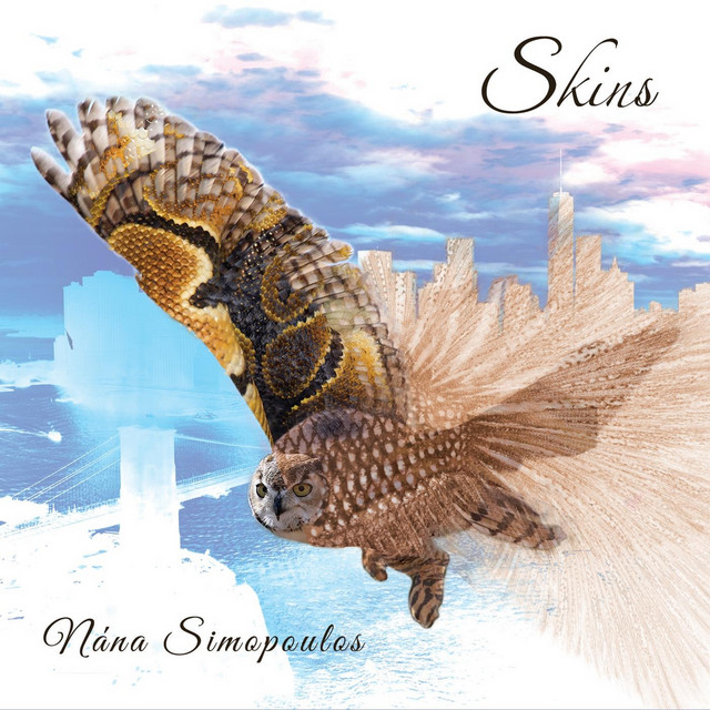 Skins cover art