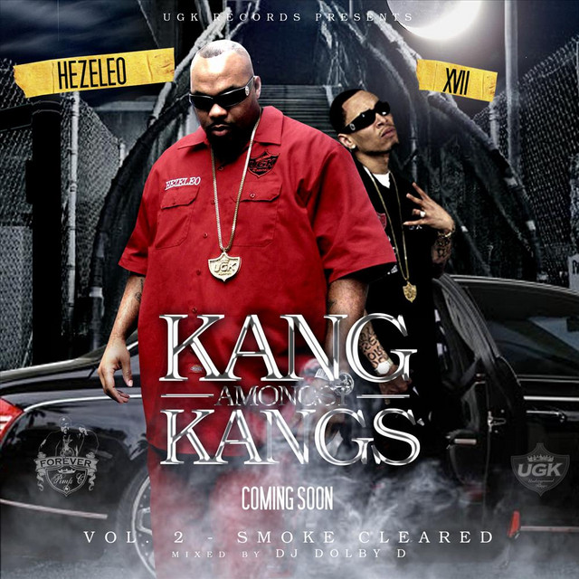 Down the Ave (feat. Xvii, Lil Boosie & David Banner) cover art