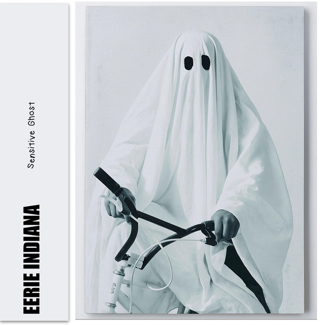 Sensitive ghost - EP by EERIE INDIANA | Spotify
