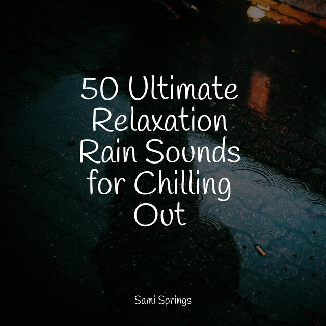 50 Ultimate Relaxation Rain Sounds for Chilling Out - Album by Weather ...