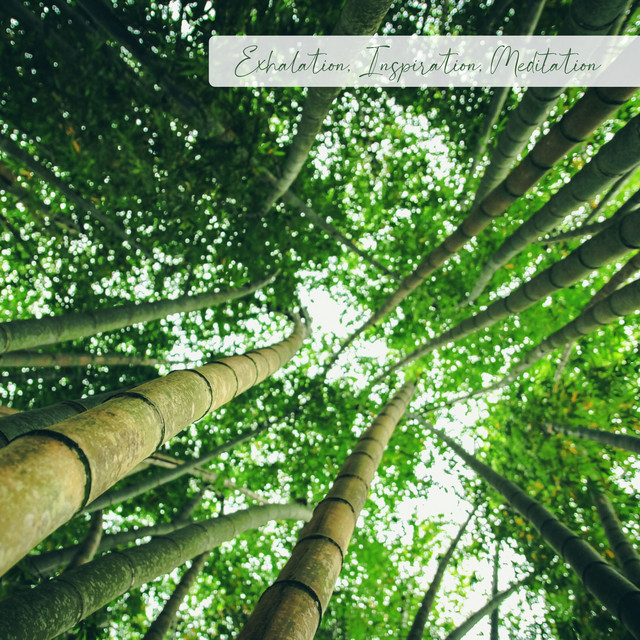 Exhalation, Inspiration, Meditation cover art