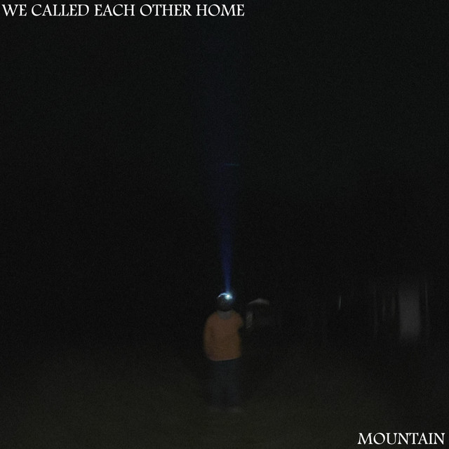 We Called Each Other Home cover art