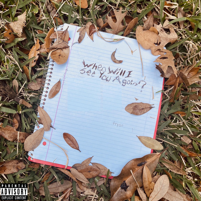 when will i see you again? cover art