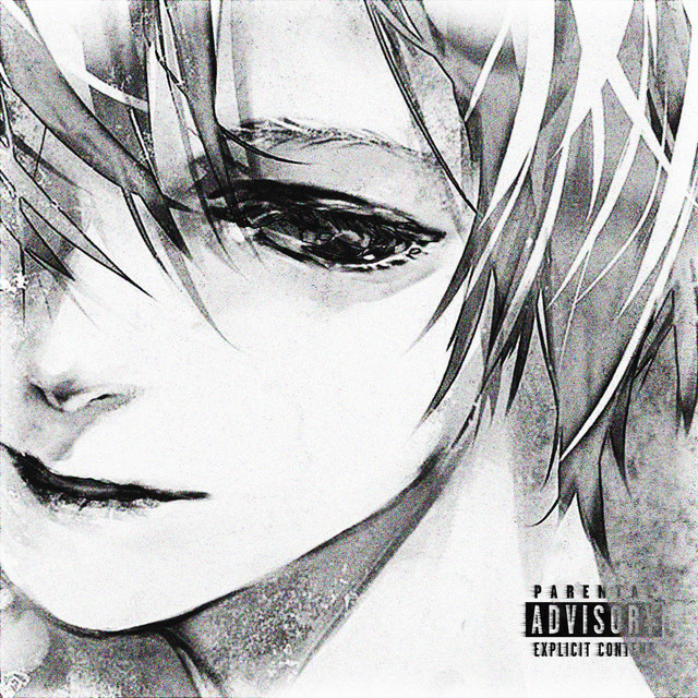 echo cover art