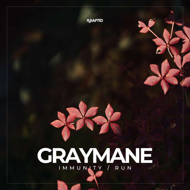 Immunity - Radio Edit cover art