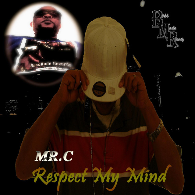 Puffin On Loud cover art