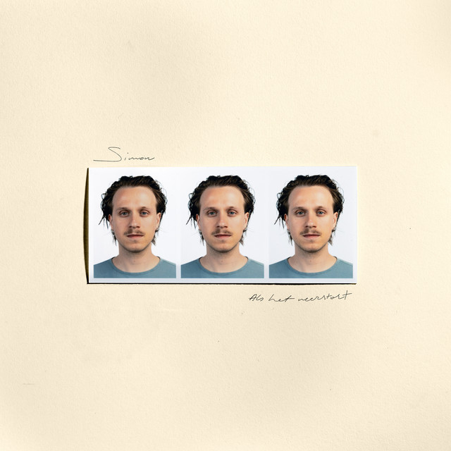 Als het neerstort cover art