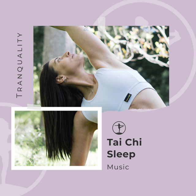 Tai Chi Sleep Music cover art